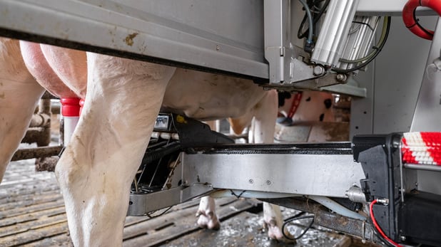 Kaeser-agriculture-robotic-milking-1400x788px